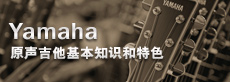 吉他、貝斯和音箱