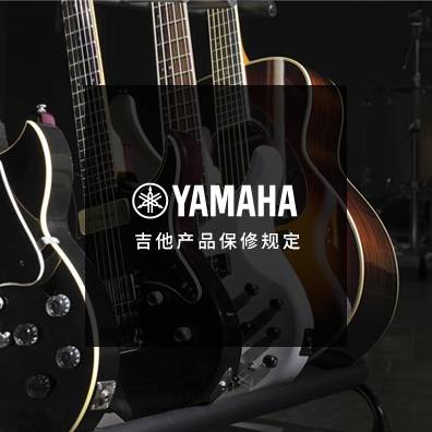 吉他、貝斯和音箱